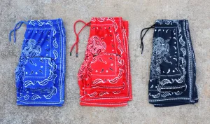 RISKY REWARDS CUSTOM BANDANA CARGO POCKET SHORTS